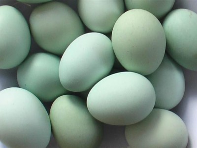 土鸡蛋图3