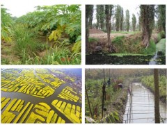 生态农业，未来可期