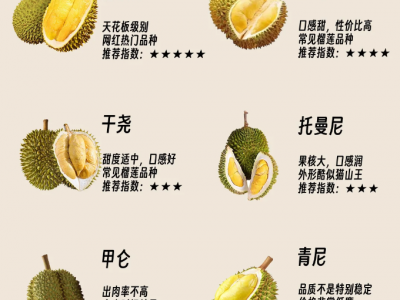 是否爱榴莲城市合伙人招募图2