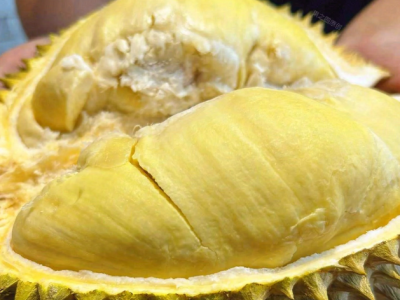 是否爱榴莲城市合伙人招募图3