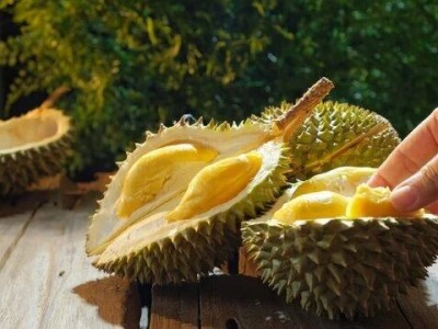 是否爱榴莲城市合伙人招募图4